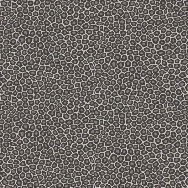 Cole & Son Ardmore Collection Senzo Spot Wallpaper - Black & White - 6031