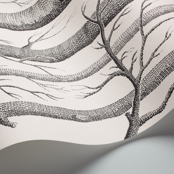 Cole & Son New Contemporary: The Woods Wallpaper Black & White 69/12147