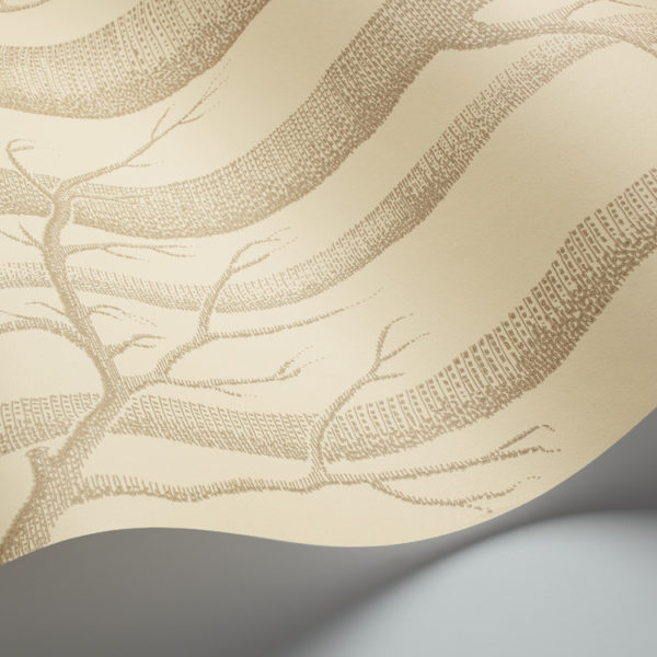 Cole & Son New Contemporary: The Woods Wallpaper Terracotta 69/12148