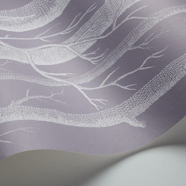 Cole & Son New Contemporary: The Woods Wallpaper Shaded Purple 69/12151