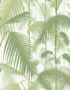 Cole & Son Palm Jungle wallpaper in Ivory & Green 95/1001