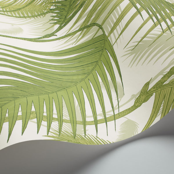 Cole & Son Palm Jungle wallpaper in Ivory & Green 95/1001