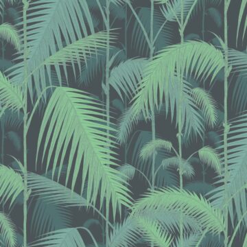 Cole & Son Palm Jungle wallpaper in Midnight 95/1003