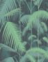 Cole & Son Palm Jungle wallpaper in Midnight 95/1003