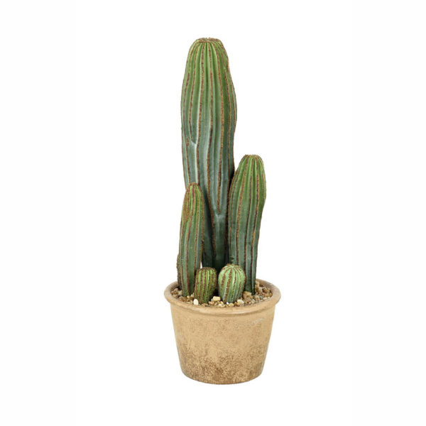 Faux Cereus Potted Cactus