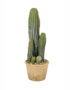 Faux Cereus Potted Cactus