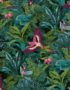 Bird Of Paradise Tropical Jungle Wallpaper