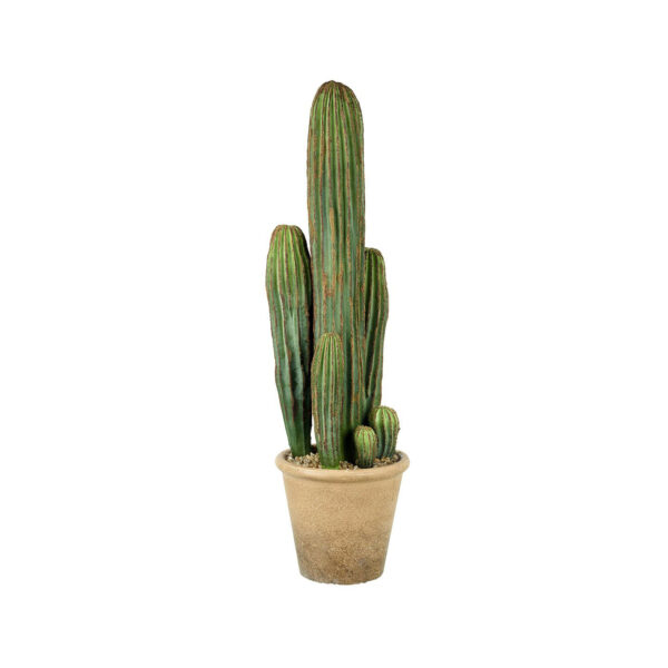 love-frankie-large-cereus-potted-cactus-1