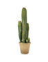 love-frankie-large-cereus-potted-cactus-1