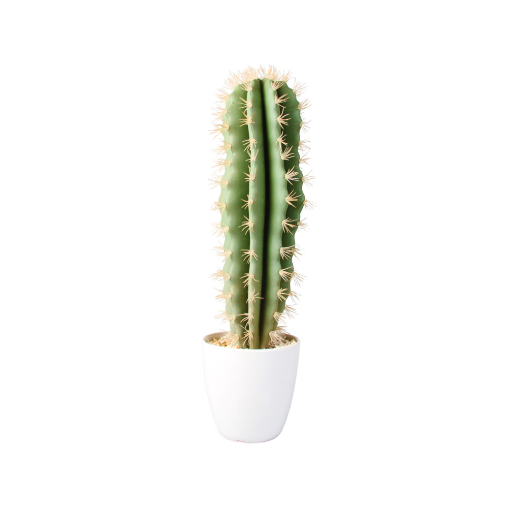 Faux Cactus In White Pot | Love Frankie