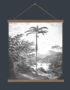 Palm-jungle-wall-chart-dark-background