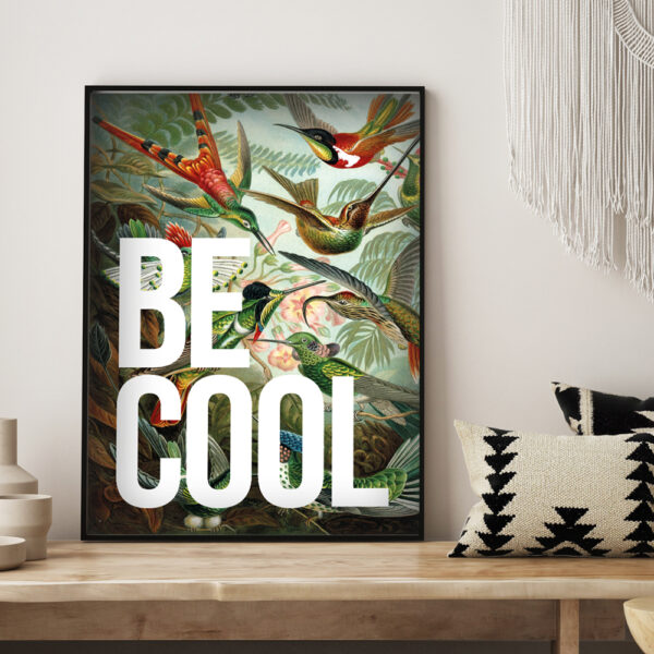 be-cool