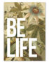 be-life-whiteS