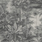 Rainforest Charcoal Close Up