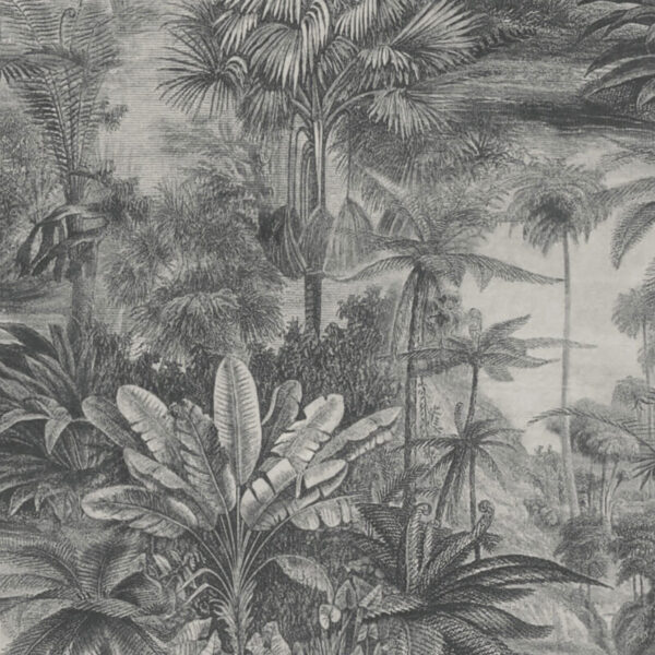 Rainforest Charcoal Close Up