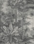 Rainforest Charcoal Close Up