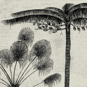 Vintage Palm Jungle Monochrome Wall Hanging