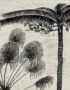 Vintage Palm Jungle Monochrome Wall Hanging