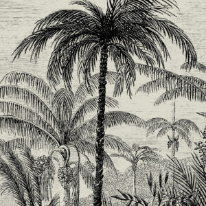 Vintage Palm Jungle Monochrome Wall Hanging