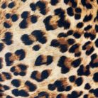 Luxe Leopard Print Velvet fabric