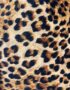 Luxe Leopard Print Velvet fabric