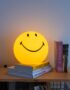 Medium Smiley Face LED Lamp