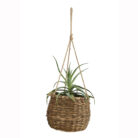 Bamboo Hanging Basket