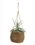 Bamboo Hanging Basket