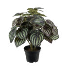 Love Frankie Watermelon Faux Plant