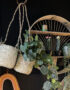 Love Frankie palm leaf hanging basket