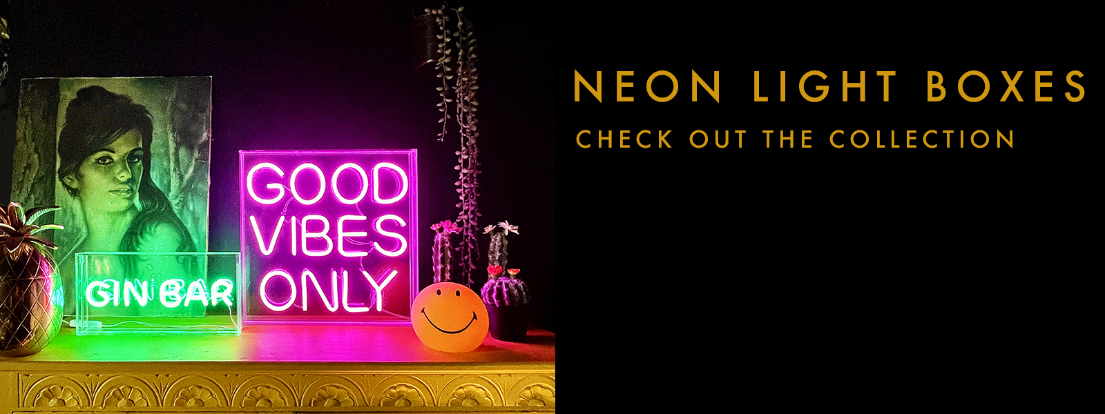 LOVE FRANKIE NEON LIGHT BOXES