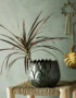 Artichoke Flower Pots - 3 Sizes Available