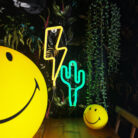 Love Frankie lightning bolt neon light