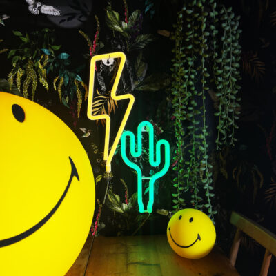 Love Frankie lightning bolt neon light