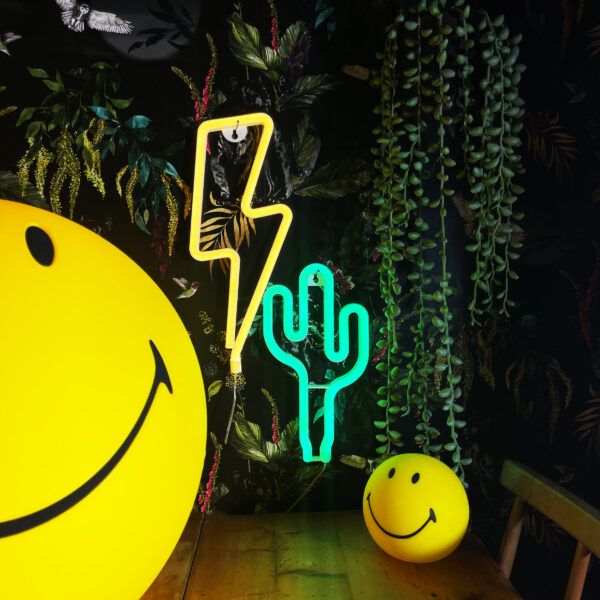 Love Frankie lightning bolt neon light