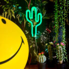 Love Frankie cactus neon light