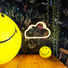 Love Frankie cloud neon light