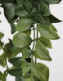 Faux Trailing Philodendron Plant