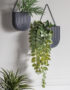 Small Faux Trailing Philodendron Plant