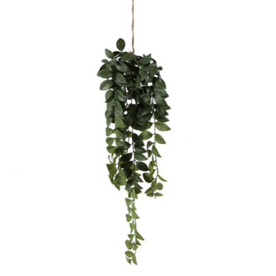 Small Faux Trailing Philodendron Plant