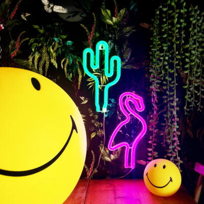 Love Frankie flamingo neon light