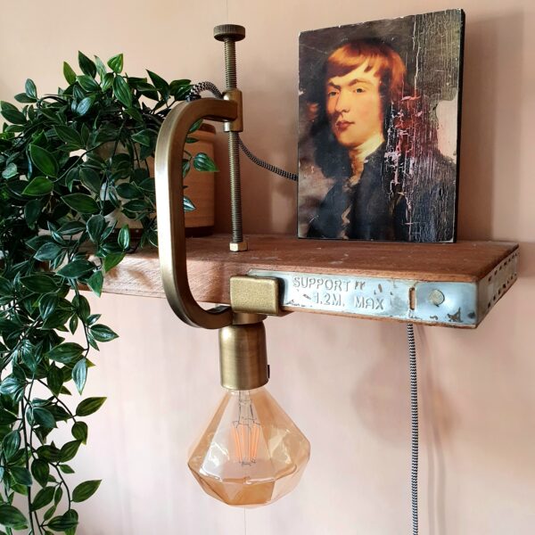 Adjustable Brass Clamp Light