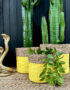 Love Frankie seagrass basket yellow