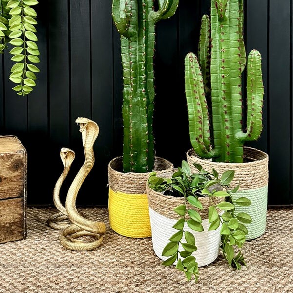 Love Frankie seagrass baskets