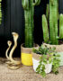 Love Frankie seagrass baskets