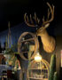 Love Frankie stag wall light