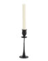Tulip Candleholders - 2 Sizes Available