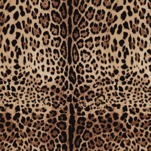 Leopardess Leopard Print Textiles by Love Frankie
