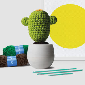 Crochet Cactus Kit