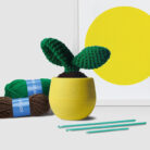 Cacti Leaf Crochet Kit
